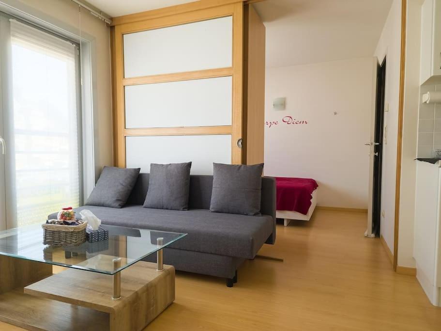 Cozy Studio With Pool Close To The Sea Остенде Экстерьер фото